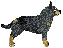 Mirror Blue's Put Something Beautiful — “Outlaw”