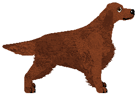 Mirror Blue's Tall Trees Whisper — “Siofra”