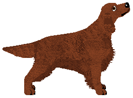 Mirror Blue's Tall Trees Whisper — “Siofra”