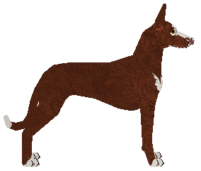 Mirror Blue's Memory Has Won — “Yago”