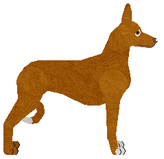 Mirror Blue's In Love With the Dream — “Gulina”