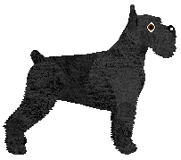 Mirror Blue's Into the Wide World — “Duncan”