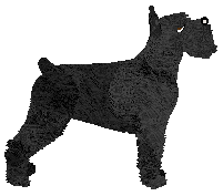 Mirror Blue's Into the Wide World — “Duncan”