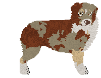 Profile image of Nocturn Zakamarki Pamięci