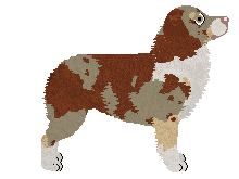 Nocturn Zakamarki Pamięci — “Memory”