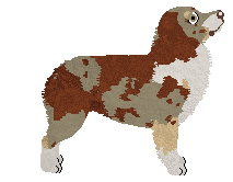 Nocturn Zakamarki Pamięci — “Memory”