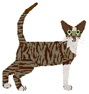 Aftermath Feel the Thunder — “Thunder”