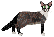 Aftermath Indigo Night — “Maddox”