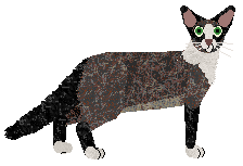 Aftermath Indigo Night — “Maddox”