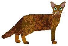 Aftermath Lucky Star — “Akasha”