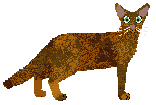 Aftermath Lucky Star — “Akasha”