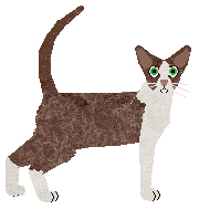 Aftermath Wild Flower — “Flo”