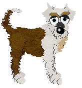 Amphigory's Happenstance at SzK — “Serendipity”