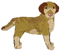 Frogbowl Beach Babe — “Sandy”