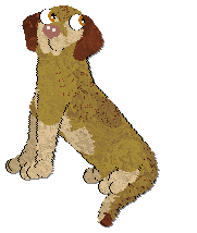 Profile image of Frogbowl Beach Babe