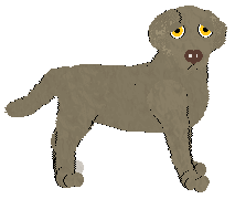 Frogbowl One To Watch — “Cory”