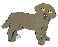 Profile image of Frogbowl One To Watch