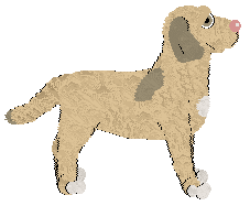 Frogbowl Up And Away — “Rocket”