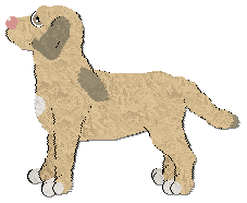 Profile image of Frogbowl Up And Away