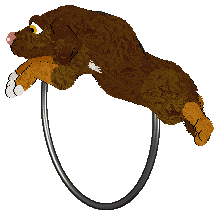 Frogbowl Falling Fast — “Tumble”