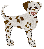 Profile image of Sz’s Unsentimental