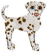 Profile image of Sz’s Not Great, Bob!