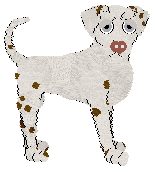 Profile image of Sz’s You Don’t Kiss Boys, Boys Kiss You