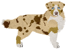 Profile image of Dodekafonia' KRÓLOWA DRAM