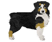 Dodekafonia' SKOŃCZYŁA SIĘ NUDA — “Boom”