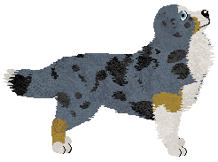 Dodekafonia' FERMENTUJĄ SIĘ FRUSTRACJE — “Frustro”