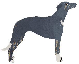 Polka BARWY INDYGO — “Cartier”