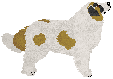 Dragosani DHAULAGIRI of My Vertical World — “Berek”