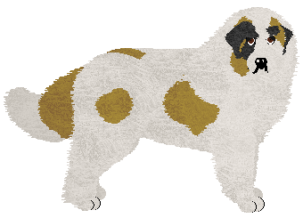 Profile image of Dragosani DHAULAGIRI of My Vertical World