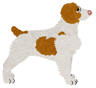 Rosestone's If It Walks Like It Talks — “Duckie”