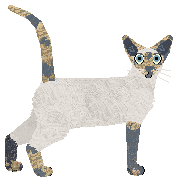 Aftermath Doll Face — “Cinderella”