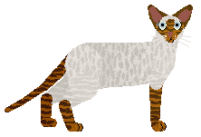 Profile image of Aftermath Fight Fire With Fire