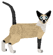 Aftermath Slo-Mo-Tion — “Ciaran”