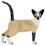 Profile image of Aftermath Slo-Mo-Tion