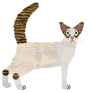 Aftermath Lonely Girl — “Sansa”