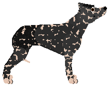 Pins'n'Needles' Black & White — “Syriusz”