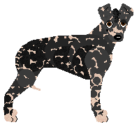 Profile image of Pins'n'Needles' Black & White