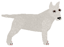 Profile image of Lakeshore's SECOND CHANCE