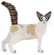 Aftermath Break the Spell — “Praxis”