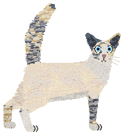 Aftermath Don't Sey Goodbye — “Nacre”