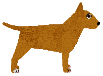 Shaerrawedd's Tornado Blaze of Kamvis — “Tajga”