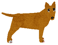 Profile image of Shaerrawedd's Tornado Blaze of Kamvis