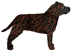 My Lullaby ZIRA'S VENGEANCE — “Zira”