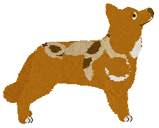 DESIGNED BY JEREMY SCOTT Łowcy Dysków — “Adidas”