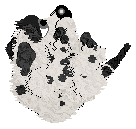 Pendragon's Farcical Aquatic Ceremony — “Mutiny”