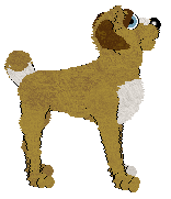 Chachke's Just a Scoop — “Gelato”